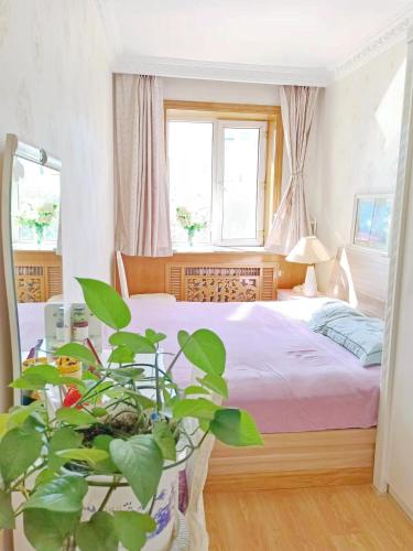 a bedroom with a bed and a potted plant at 鸢尾之家 in Harbin