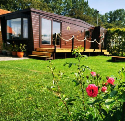 a small cabin in a yard with a red rose at Bed and Breakfast Op het Broek in Harfsen
