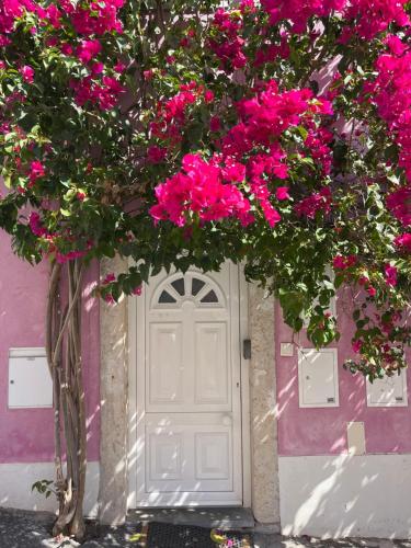 a door with pink flowers in front of a building at Casa Cor de Rosa in Lisbon