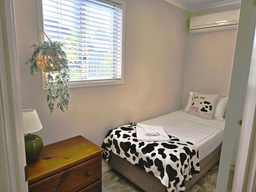 Postel nebo postele na pokoji v ubytování Kilcoy Motel