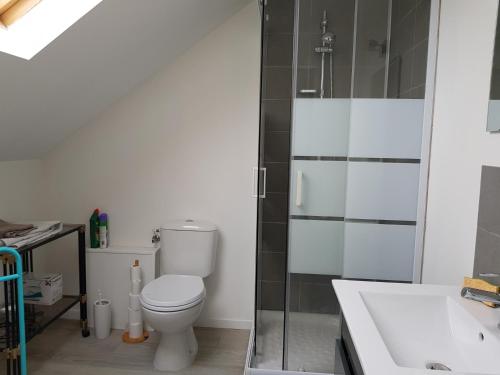une salle de bain avec toilettes et douche en verre dans l'établissement Chez Nadine, à Thionville