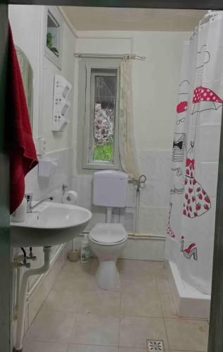 a white bathroom with a toilet and a sink at Căsuța din vale in Râșca