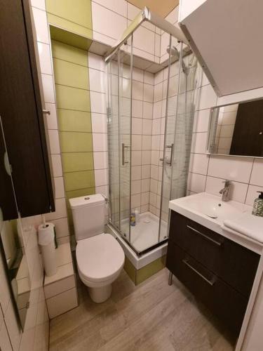 une salle de bain avec toilettes, douche et lavabo dans l'établissement Le Balme #Calme#Confort#Quartier Historique, à Clermont-Ferrand