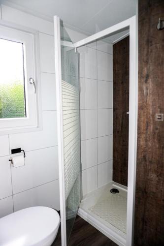 a bathroom with a toilet and a glass shower at Vakantiehuis met vijverzicht in Lathum