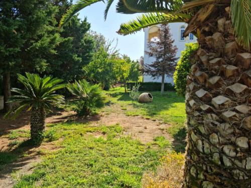 Κήπος έξω από το GREEN PARADISE PALAIA FoKAIA