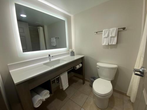 Ванная комната в Wingate by Wyndham State Arena Raleigh/Cary Hotel