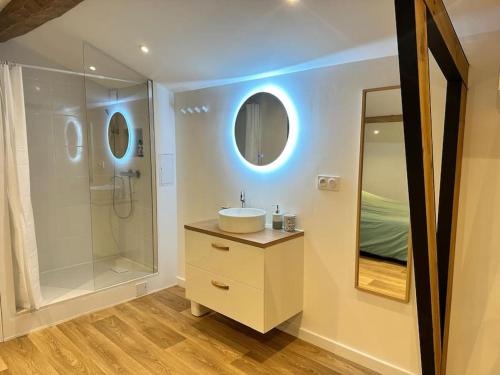 une salle de bain avec un lavabo, une douche et un miroir dans l'établissement Joli appartement - Roques, à Roques