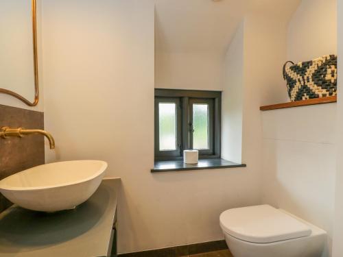 a bathroom with a sink and a toilet and a window at The Ivy Barn in Abergavenny