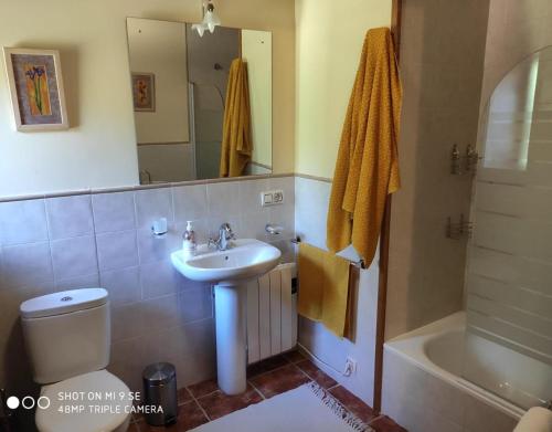 a bathroom with a sink and a toilet and a mirror at O Bolaño Apt 2 in Parada de la Sierra