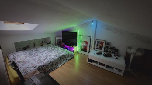 a bedroom with a bed and a tv in it at Les chambres du Nid charentais in La Poterie
