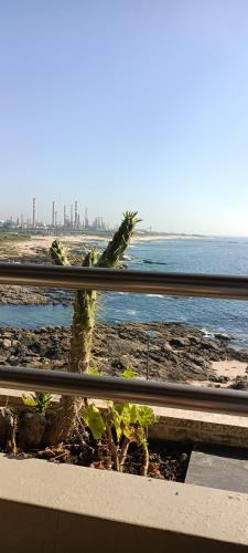 a palm tree on the beach behind a fence at Matosinhos -Seas Apartment- Cabo das Marés in Matosinhos