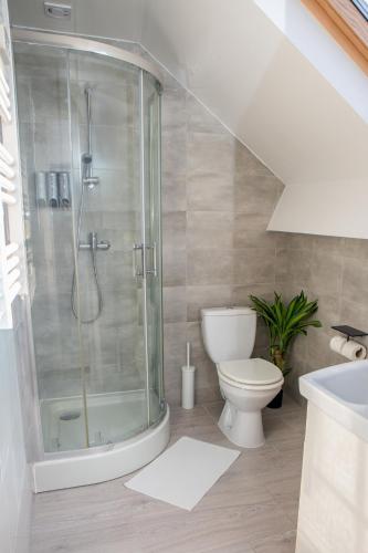 une salle de bain avec douche et toilettes dans l'établissement Le Loft proche aéroport CDG I Paris I Astérix, à Dammartin-en-Goële