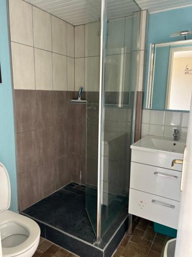 Un baño con ducha, inodoro y lavabo. en studio village naturiste, en Leucate