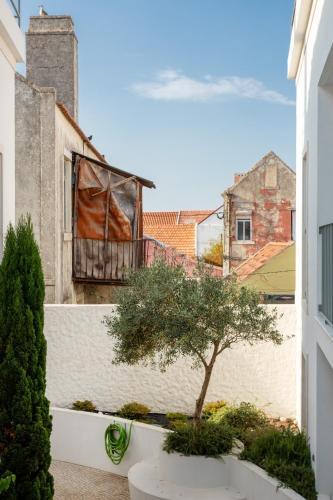 a view from the balcony of a building with a tree at La Concha Alegre, Duplex in Trafaria in Trafaria