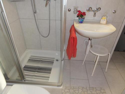 uma casa de banho com um chuveiro e um lavatório. em Apartment Beck em Wilderswil