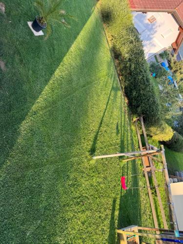 an overhead view of a lawn with a tree at Ferienhaus in Unterdeka