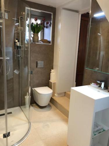 a bathroom with a toilet and a shower and a sink at Shotley House Rooms in Shotley Bridge