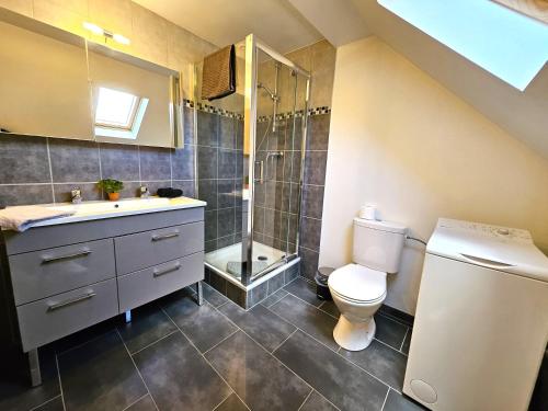 La salle de bains est pourvue d'un lavabo, de toilettes et d'une douche. dans l'établissement ThannT3-Centre Ville-Garage privé, à Colmar