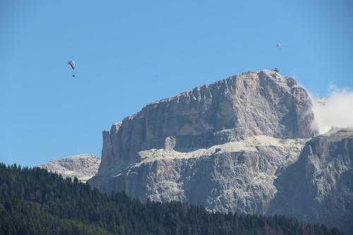 a large mountain with trees in front of it at Residence Fontanazzo in Campitello