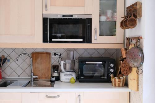 a kitchen counter with a microwave and a sink at Residence Fontanazzo in Campitello