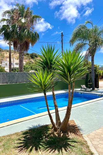 two palm trees in front of a swimming pool at Country Villa work&relax in Lagos
