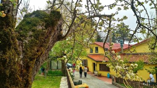 Κήπος έξω από το Agriturismo La Ginestra