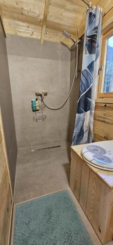 a small bathroom with a shower and a sink at Au Verger des Louves in Helfrantzkirch