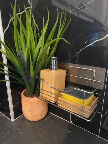 a plant sitting on a shelf in a bathroom at Arletos Home in Ioannina