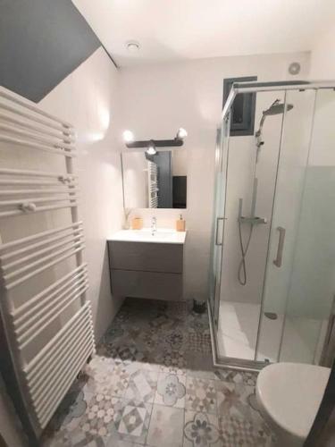 une salle de bain avec une douche, un lavabo et des toilettes dans l'établissement Petite maison avec jardin, Disney 15 min, Paris 25 min, à Thorigny-sur-Marne