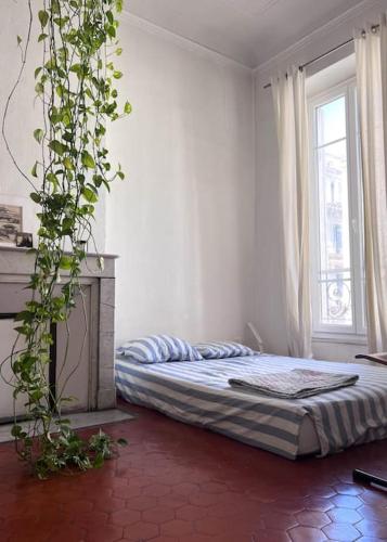 - une chambre avec un lit et une plante dans l'établissement Grand appartement lumineux, à Marseille