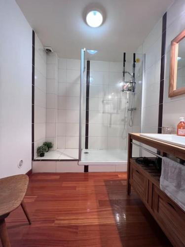 La salle de bains est pourvue d'une douche et de parquet. dans l'établissement Grand appartement lumineux, à Marseille