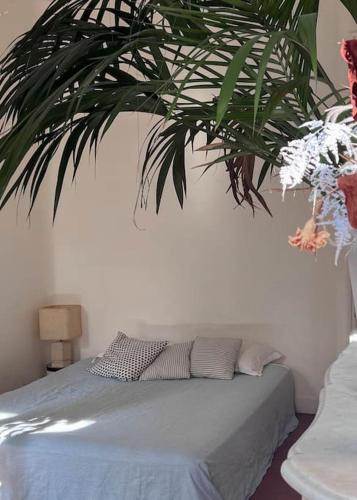 Grand appartement lumineux