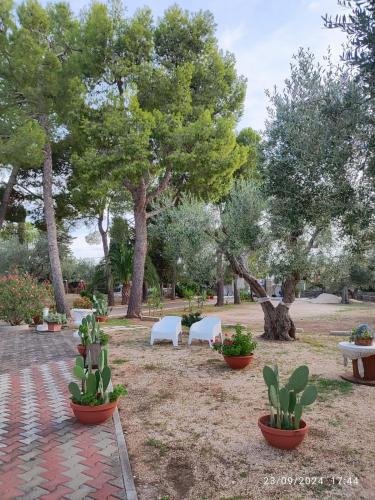 Κήπος έξω από το Casina Lupis