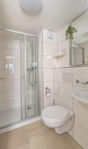 a bathroom with a shower and a toilet and a sink at Apartments Multergasse in St. Gallen