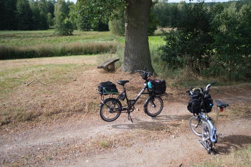 two bikes parked on a dirt road next to a tree at Hotel und Restaurant Sackwitzer Mühle in Bad Schmiedeberg