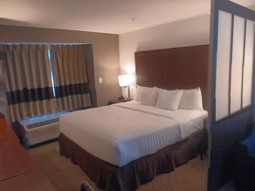 a hotel room with a bed and a window at Comfort Inn & Suites in Aztec