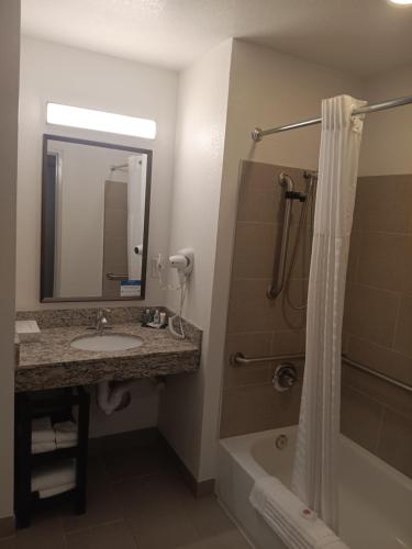 a bathroom with a sink and a shower and a tub at Comfort Inn & Suites in Aztec
