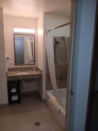 a bathroom with a shower and a sink and a mirror at Comfort Inn & Suites in Aztec