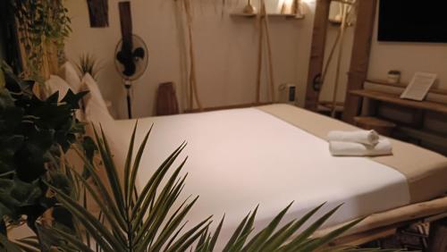 a bed in a room with a plant at Cactus Host in Las Palmas de Gran Canaria