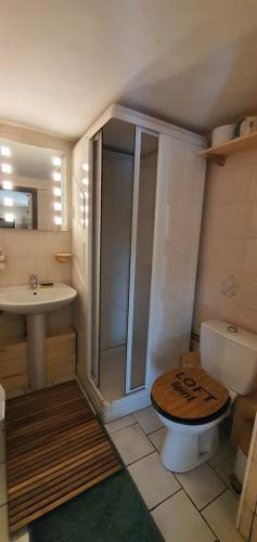 une salle de bain avec une douche, des toilettes et un lavabo dans l'établissement Le Georgina Cauterets, à Cauterets