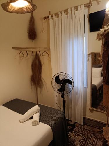 a room with a bed with a fan and a window at Cactus Host in Las Palmas de Gran Canaria