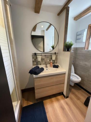 ein Badezimmer mit Waschbecken und Spiegel in der Unterkunft Appartement lac et montagne in Gérardmer