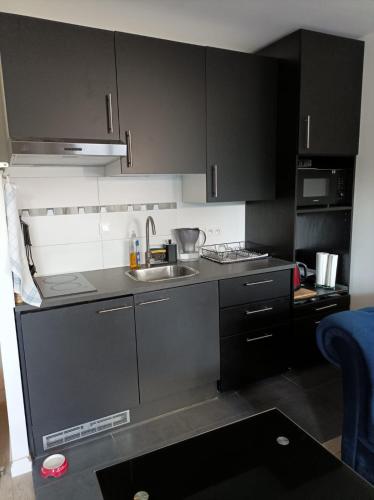 - une petite cuisine avec des placards noirs et un évier dans l'établissement Appartment Porte de Versailles Paris Expo, à Issy-les-Moulineaux
