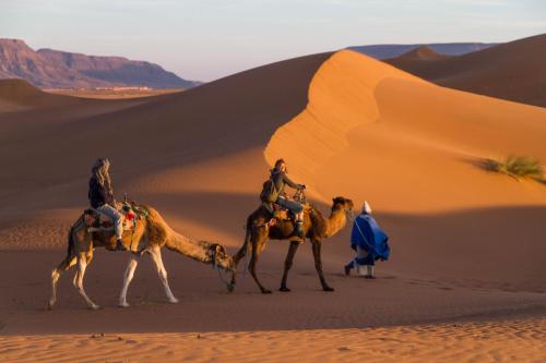 Tinfou desert campの宿泊客