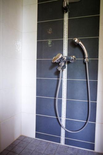 a shower in a bathroom with a blue wall at Salkolahti Lomamökit in Längelmäki