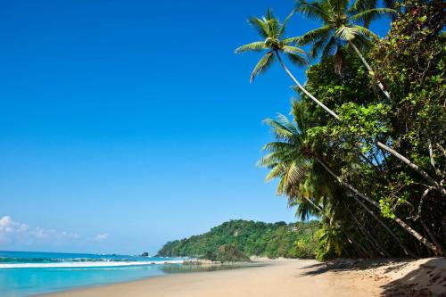 a beach with two palm trees and the ocean at Upstay - NEW BUILD - Viva Jaco Condo w Epic Views in Jacó