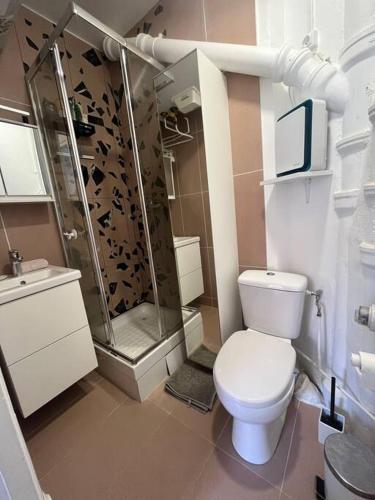 une petite salle de bain avec toilettes et douche dans l'établissement Joli & cosy 2 pièces à Paris, à Paris