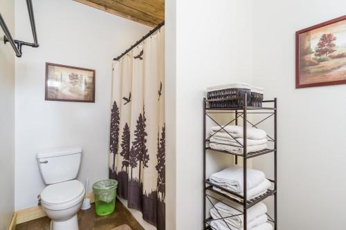 a bathroom with a toilet and a shelf with towels at Foothills Family Retreat - 7 Bedrooms, Hot Tub in Cleveland
