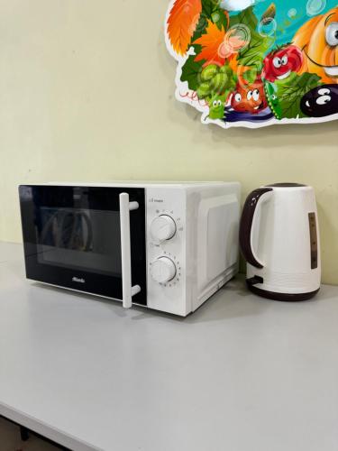 a microwave and a toaster sitting on a counter at Samal Hostel in Gornyy Gigant