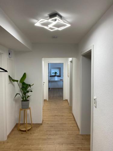 a hallway with a plant in the middle of a room at Ferienwohnung Rickelhoff in Olpe
